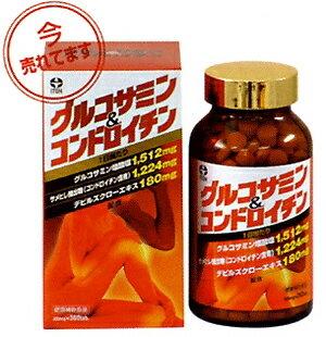井藤漢方製薬「グルコサミン＆コンドロイチン」360粒×2個セット