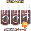 【全国送料無料】飲みにくかった微粉末を飲みやすい錠剤にしました!チャーガパワー3本セット!森のダイヤモンドと呼ばれる希少なキノコ、ベーターグルカンたっぷりのチャーガで元気アップ!!チャーガ/カバノアナタケ/メシマコブ/アガリクス/免疫力/茶/便秘