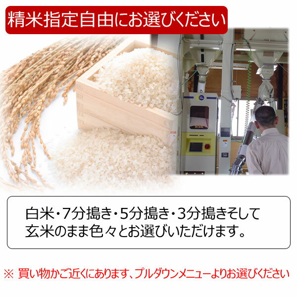 【楽天市場】新米 28年産 新潟県産 コシヒカリ 減農薬玄米 10kg 送料無料 生産農家：辻 勉氏 【精米方法選択自由】【RCP】【HLS