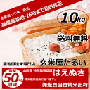 お米 10kg 送料無料29年産 山形県産はえぬき 減農薬 ...