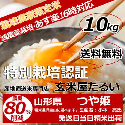 お米 10kg 送料無料 【農薬80％削減】 28年産 山形県産つや姫 減農薬 玄米 10kg 送料無料【生産者：小林 亮氏】【あす楽_土曜営業】【あす楽_日曜営業】【精米方法選べます】