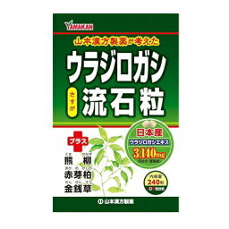 メール便 <strong>ウラジロガシ流石粒</strong>　240粒入り ・メール便（ネコポス）で発送いたします