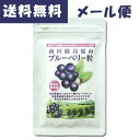 南阿蘇高原のブルーベリー100%粒