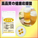 ウコン粒【有機栽培沖縄秋ウコン】【ウコン】【サプリ】【沖縄】...