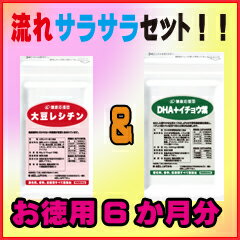 【お徳用6か月分】【送料無料】　【（DHA+イチョウ葉）＆大豆レシチンのセット】　/レシチン サプリメント/大豆レシチン　エキス サプリメント/レシチン/DHA/　（EPA）【送料無料】