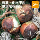無農薬・無化学肥料・畜産堆肥、除草剤不使用 玉ねぎ 5kg ※送料無料(一部地域を除く)※ アートテン農作物 【健康サポート専門店農園】【予約商品】
