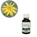 有機アルニカオイル(浸出油)25ml 植物油【生活の木】