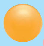 ϥ顼ޥͥåȡ255ˡ72061