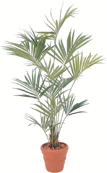 【観葉植物・グリーンデコ洋風】　ニューケンチャヤシ　2.1m　メンテが楽でリアルな人工植物