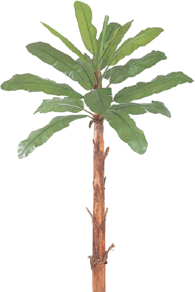 【大型観葉植物・グリーンデコ】　バナナ　組立式　鉢付　3.6m　メンテが楽でリアルな人工植物