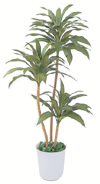 【観葉植物・グリーンデコ洋風】　ドラセナ　1.8m　鉢付　リアルな人工植物