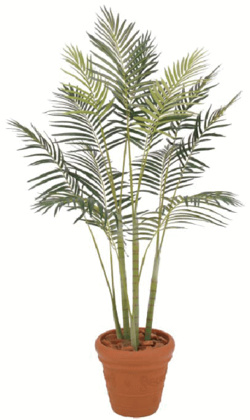 【観葉植物・グリーンデコ洋風】　ヒメヤシ　2.1m　メンテが楽でリアルな人工植物