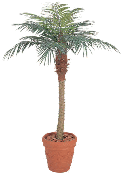 【観葉植物・グリーンデコ洋風】　フェニックス　2.1m　メンテが楽でリアルな人工植物
