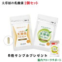 大草原の乳酸菌 NS-Max36粒とNS-Slim36粒 選べる2個セット(520円お得)モンゴル生まれの新鮮な「NS乳酸菌」すっきり 脂肪 コレステロール 送料無料 | サプリメント サプリ ロイテリ 菌 腸活 腸内フローラ 乳酸菌 乳製品 腸内 腸内環境 カプセル 乳酸菌サプリ 健康サプリ