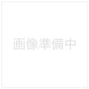 【訳あり箱日焼け、傷み】SONY(ソニー) NC-4WMB 充電式ニカド電池