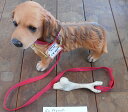ダックス ドアストッパー犬犬雑貨/イヌ小物/置物/オーナメント/玄関/ドアキャッチャー/アウトレット品