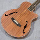 URIEL UNB-200F CE Fretless NM 【ソフトケース付】【送料無料】