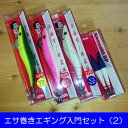 【お買い得セット】エサ巻きエギング入門セット(2) 早福型/邪道編 【邪道エギ 邪道エギング】