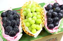 果物 ギフト シャインマスカット & 種無し ピオーネ & ...