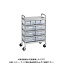 【直送品】サカエ CSワゴン透明ボックス付 CSD-46RSU
