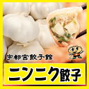 餃子 ぎょうざ ニンニク餃子(8個入)【宇都宮餃子館】【栃木県・宇都宮餃子会加盟店】