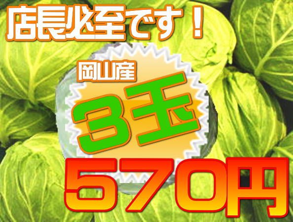 【岡山産】キャベツ3玉・吉備高原のキャベツ吉備高原の安全、安心、美味しい野菜