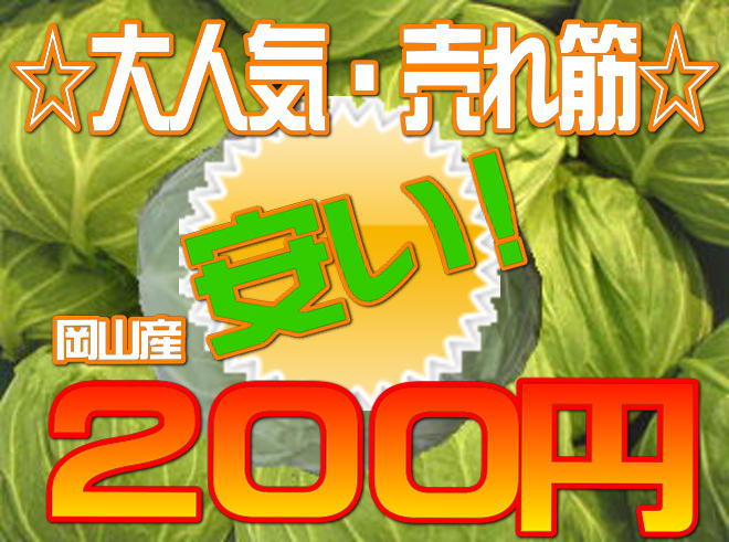 【岡山産】キャベツ☆大ヒット売れ筋☆吉備高原のキャベツ