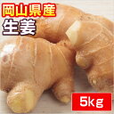 【岡山県産】 生姜 ● 5 kg ●