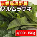 【岡山産】吉備高原のツルムラサキ 【岡山産】吉備高原のツルムラサキ