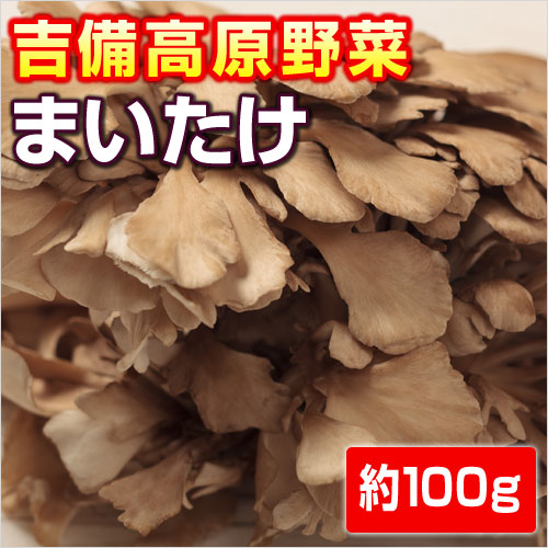 【岡山産】まいたけ　100g...:kibi:10000446