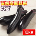 【岡山県産】吉備高原のなす ●10 kg●