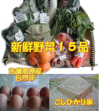 ■送料無料■【吉備高原農家の野菜】自然卵・H23年産　こしひかりセット 【税込】