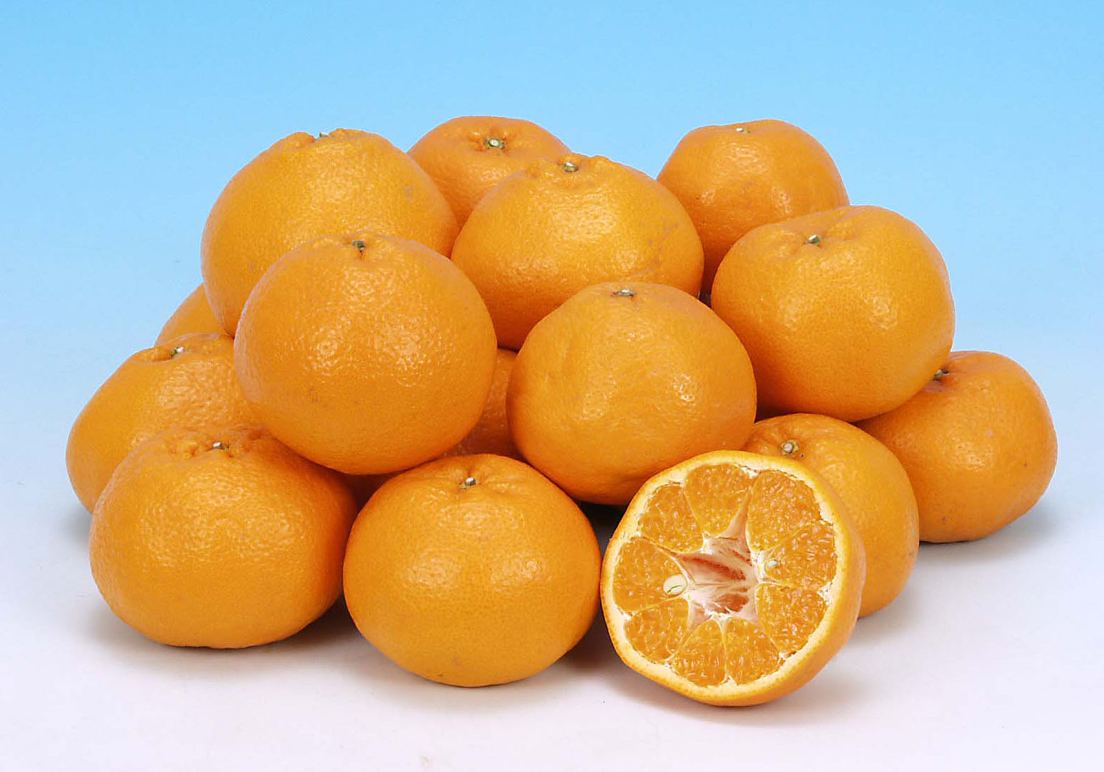 ɲ绺Ϥߡभ䤹ŤΤǽ˿͵Ρåޤ̤Ѥǰ¿Ǥ£ѡ2L3kg1212ܰʹȯͽǤ