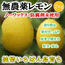 無農薬レモン 国産レモン 愛媛・中島産 2kg【希望の島 ユ...