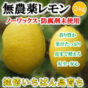 無農薬レモン 国産レモン 愛媛・中島産 3kg【希望の島 ユーレカレモン 国産 無農薬 訳あり】...