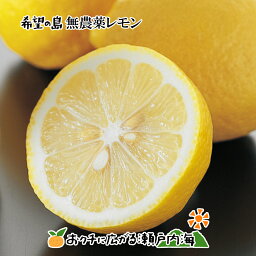 希望の島 <strong>無農薬</strong><strong>レモン</strong> 2kg サイズ込 愛媛 中島産ユーレカ<strong>レモン</strong> 瀬戸内<strong>レモン</strong> 国産<strong>レモン</strong> <strong>無農薬</strong>