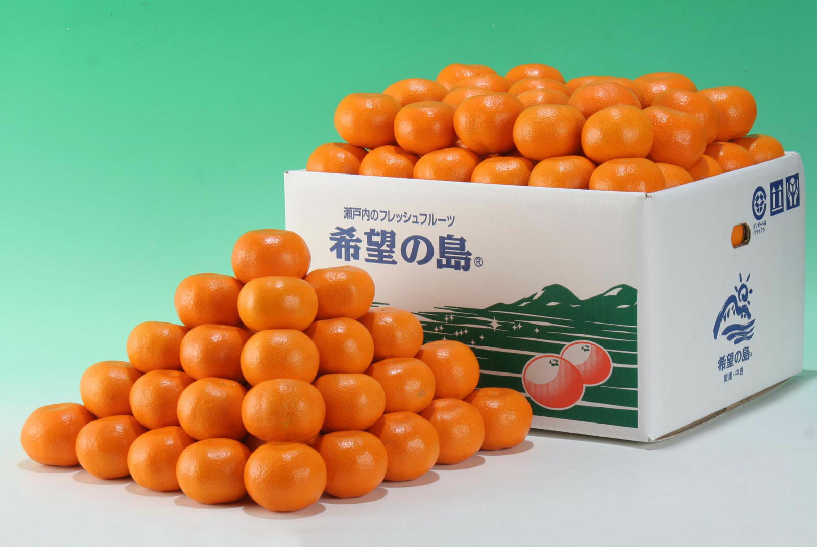 £ʪˤɤɲ绺ߤʥΡå̤Ѥǰ¿£L2L10kg70˥ԡ¿͵ ȯ1120ʹ