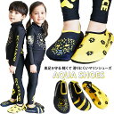 ≪最大500円OFFクーポン発行中×メール便送料無