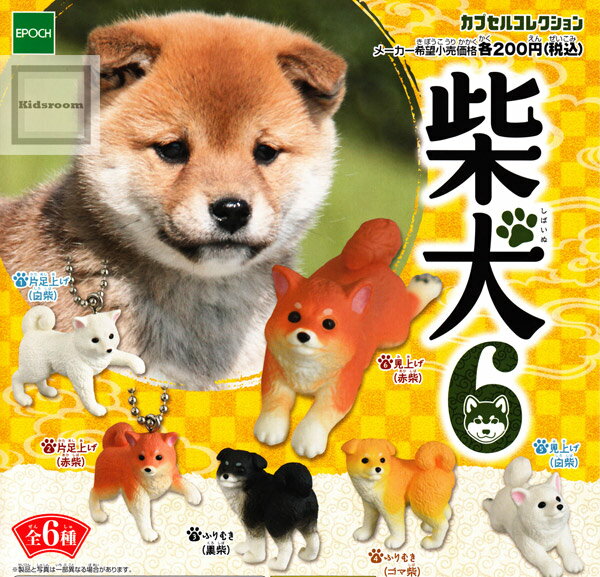 【コンプリート】柴犬6 カプセルコレクション ★全6種セット