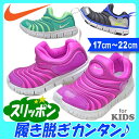 ナイキ (NIKE) ダイナモフリー PS 343738 子供靴 男の子 女の子 キッズ スニーカー nike ハイカット スリッポン 17 18 19 20 21 22