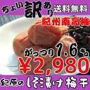 【大感謝価格】【送料無料】【つぶれ梅】【梅干し】ちょい訳あり...