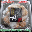【大感謝価格】【送料無料】【つぶれ梅】【梅干し】ちょい訳あり...