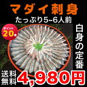 マダイの刺身&しゃぶしゃぶセット (5〜6人前) 【真鯛 タイ 刺身 しゃぶしゃぶ 鯛しゃ