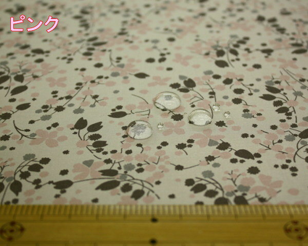 ץǰָ 2,000(ǹ)ʾ太夲ǡ̵ݥꥨƥץȡ夤礤β3