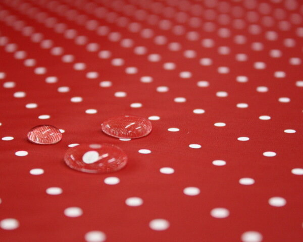 ץǰָ 2,000(ǹ)ʾ太夲ǡ̵ʥ̥ץȡץǥ١å˰Τʤɥå4