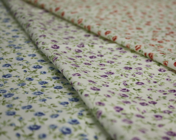 ץǰָ 2,000(ǹ)ʾ太夲ǡ̵åȥ100%ץ 쥬󥹥ե磻֤40֥֥ɥץ!3