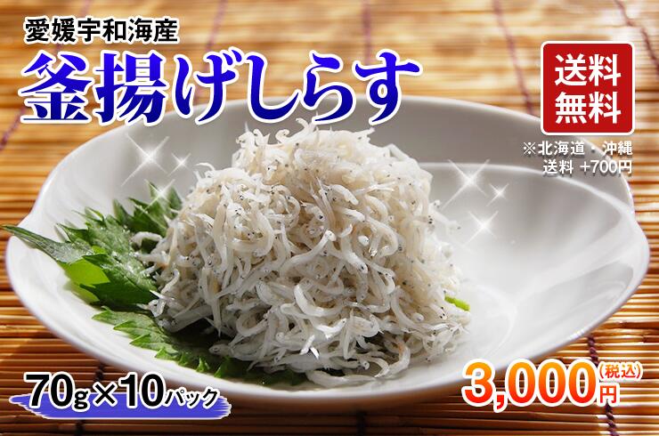 【送料無料】《愛媛宇和海》釜揚げしらす【たっぷり700g 】便利な小分けパック(70g×10パック)...:kijimasuisan:10000012