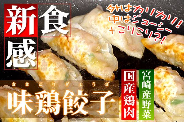 【送料無料】　いつも売り切れて申し訳ございません！お一人様最大5セットまで！味鶏生餃子1．6kgどか〜んと大特価！【生餃子】【63gourmet_south】