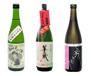 日本酒 新酒 720mL 3本 飲み比べ セット / 伊賀 地酒 / 森喜酒造場 すっぴん るみ子 9号酵母 / 大田酒造 半蔵 純米吟醸 生原酒 しぼりたて / 若戎酒造 PREMIUM プレムアム しぼりたて 純米吟醸 義左衛門 神の穂/お歳暮