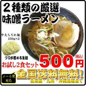 【全国送料無料】【メール便対応】味噌好き必見！2種類の味噌ラーメンお試し2食セット同梱・代金引換・日時指定は×10P123Aug126セット以上ご購入で宅配便でお届け！